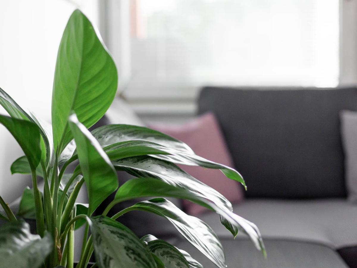 Apartma Vrtnica 5Th Floor Nova Gorica Luaran gambar
